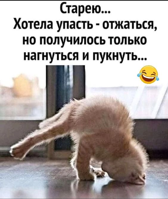 Старею Хотела упасть отжаться но получилось только нагнуться и пукнуть