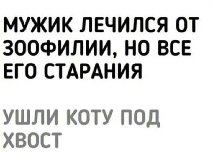 МУЖИК ЛЕЧИЛСЯ ОТ ЗООФИЛИИ НО ВСЕ ЕГО СТАРАНИЯ УШЛИ КОТУ ПОД ХВОСТ