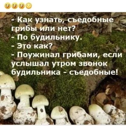 999 Как матьсъедобные грибы или нет По будильнику Это как Поужинал грибами если услышал утром звонок будильника съедобные