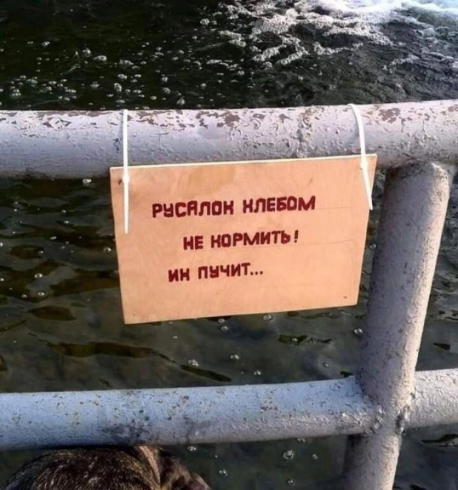рнсяпаи нпЕБЗМ нЕ нпРмим ии пучит