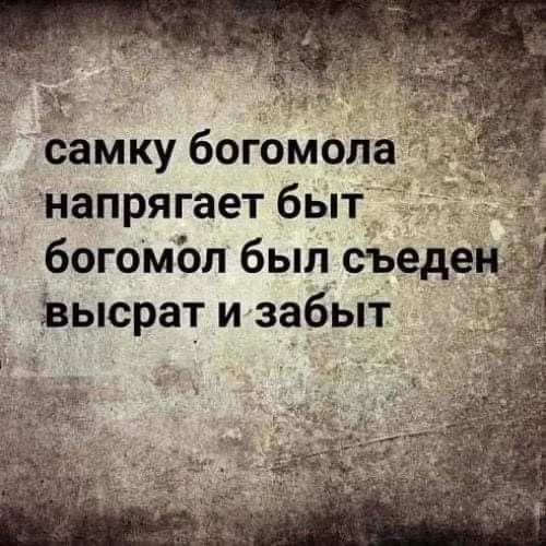 Самку богомола напрягает быт богомбл был съеден высрат и забыт