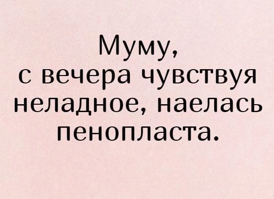 Муму с вечера чувствуя неладное наелась пенопласта