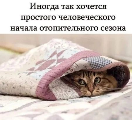 Иногда так ХОЧЕТСЯ простого человеческого начала ОТОПИТеЛЪНОГО сезона