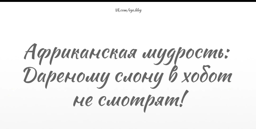 Африканская жу осты Варенашу сцену хобот не етотмт ЁЁЪШ