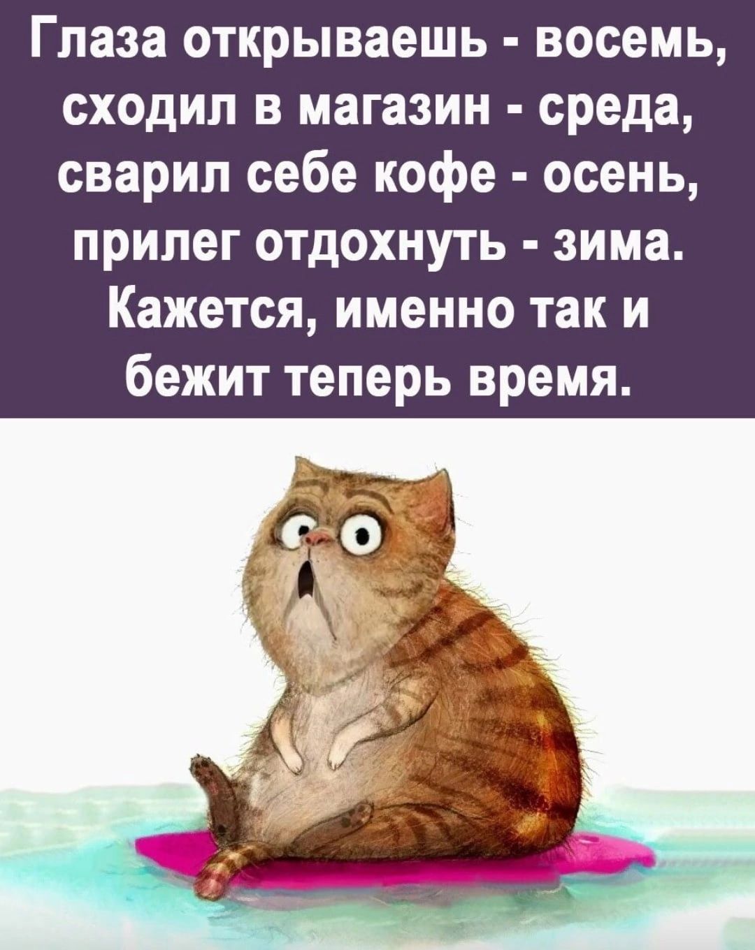 Глаза открываешь восемь сходип в магазин среда сварил себе кофе осень прилег отдохнуть зима Кажется именно так и бежит теперь время