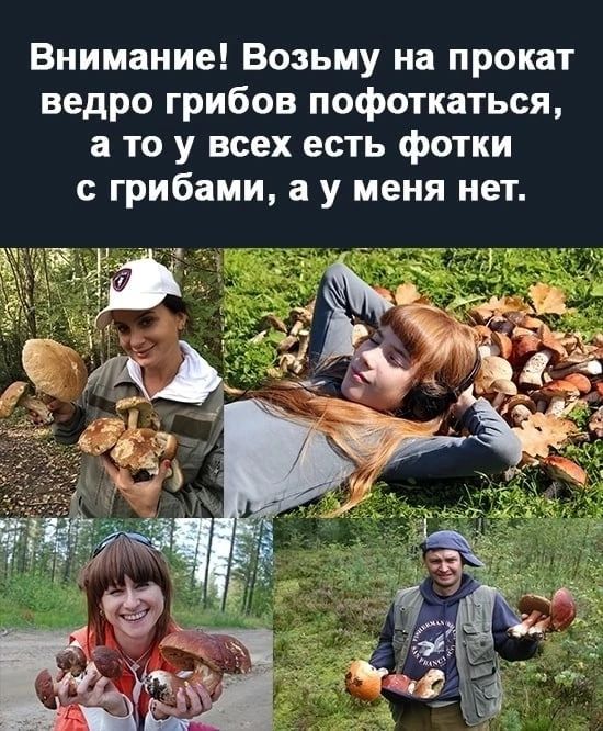 Внимание Возьму на прокат ведро грибов сфоткаться а то у всех есть фотки с грибами а у меня нет