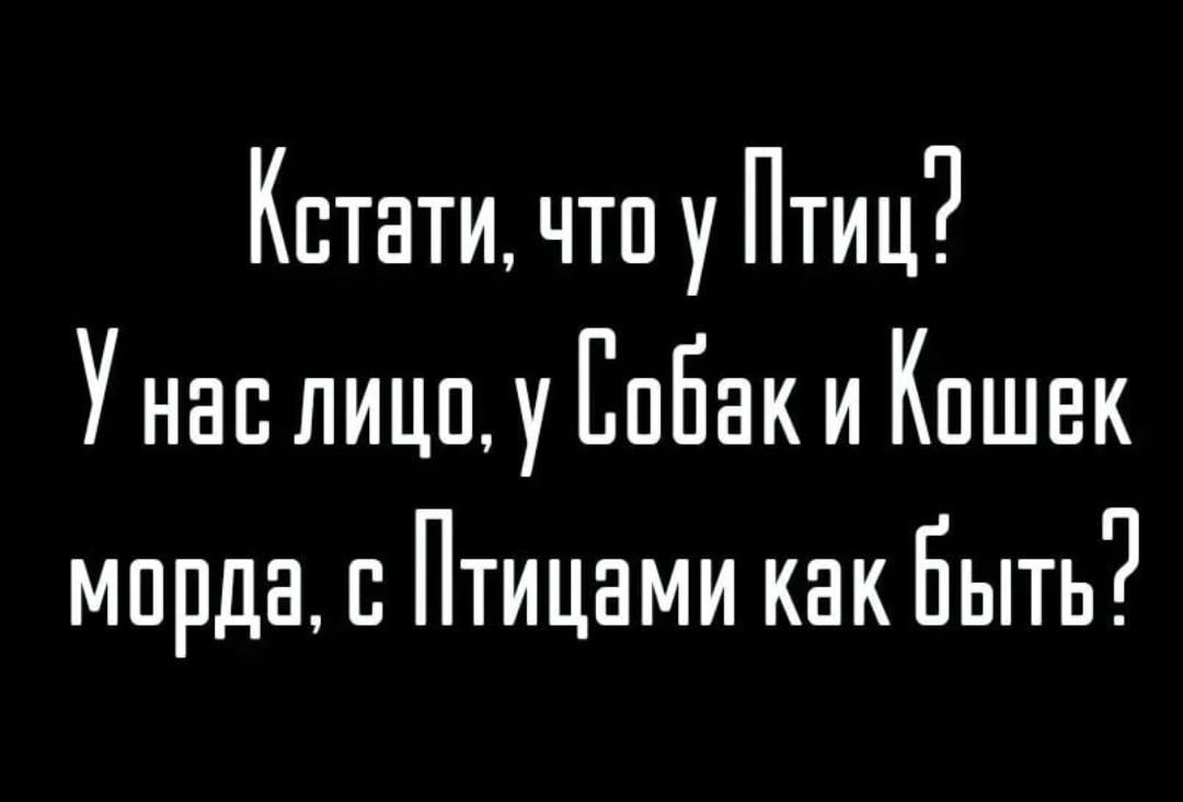 Кстати что у Птиц У нас пиццу ЕпБак и Кпшвк морда Птицами как Быть