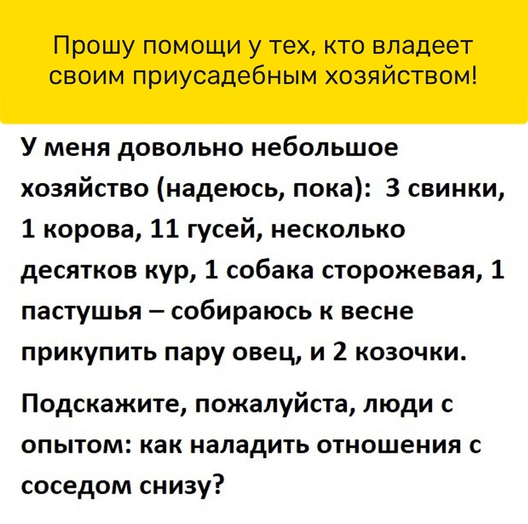 Прошу помощи у тех кто владеет своим приусадебным хозяйством У меня довольно небольшое хозяйство надеюсь пока 3 свинки 1 корова 11 гусей несколько десятков кур 1 собака сторожевая 1 пастушья собираюсь к весне прикупить пару овец и 2 козочки Подскажите пожалуйста люди с опытом как наладить отношения с соседом снизу