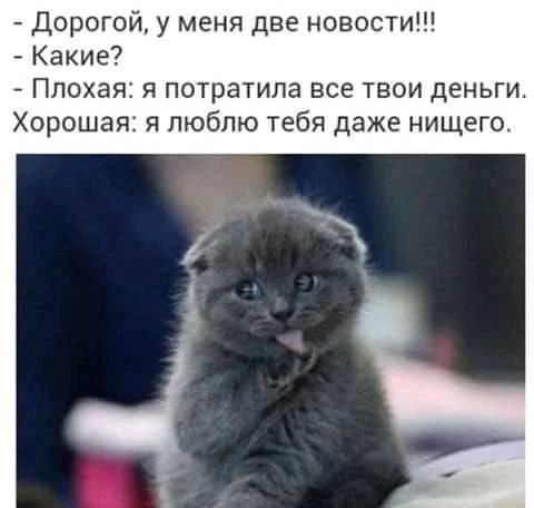 дорогой у меня две новости Какие Плохая я потратила все твои деньги Хорошая я люблю тебя даже нищего пинка