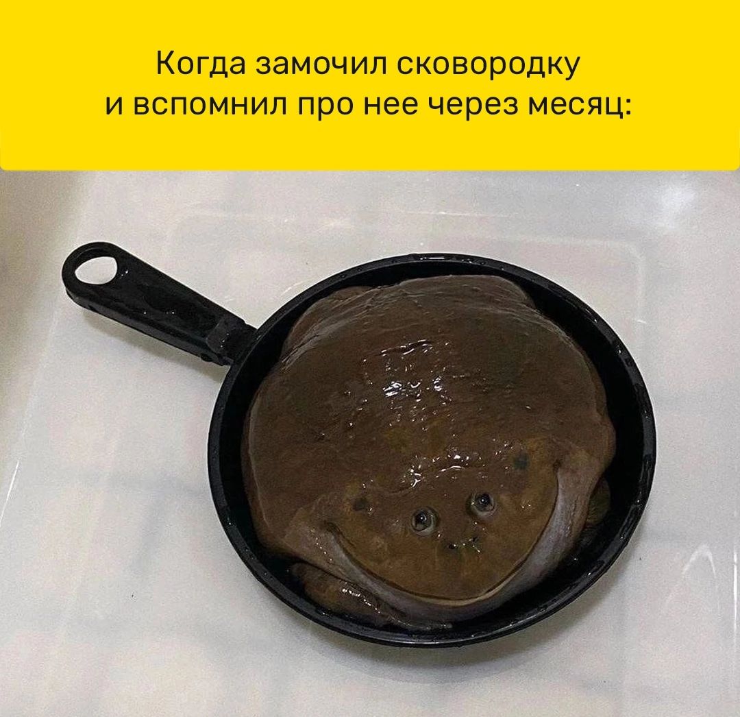 Когда замочил сковородку И ВСПОМНИП ПрО нее через месяц