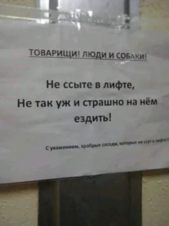 товдрищи Люди и сови Не ссыте в лифте Не так уж и страшно на нём ездить