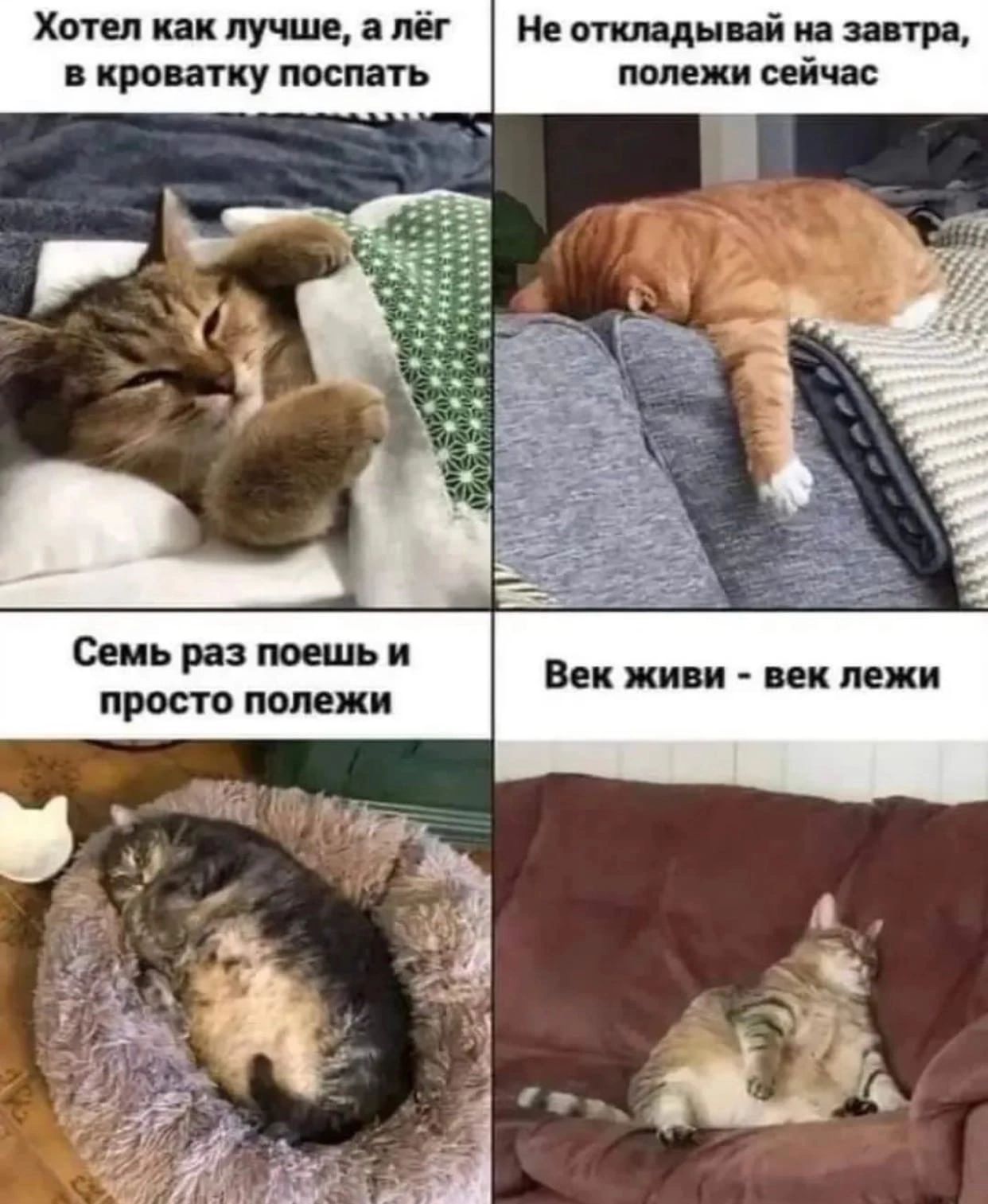 Хотел как лучше я да не откидыцй и зап ря кроватку поспать падежи сейчас