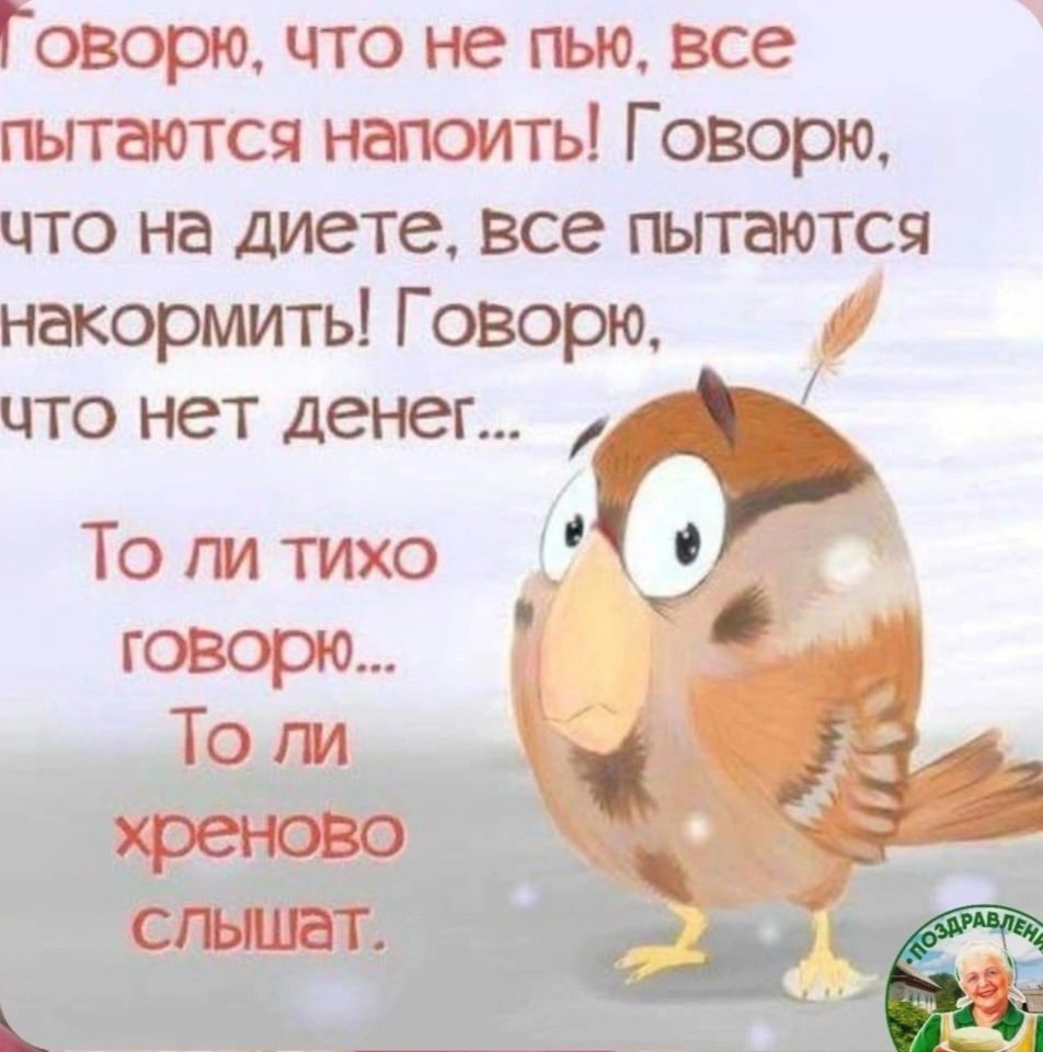 Говорю что не пью все пытаются напоить Говорю что на диете все пытаются накормить Г оворю что нет денег То пи тихо говорю