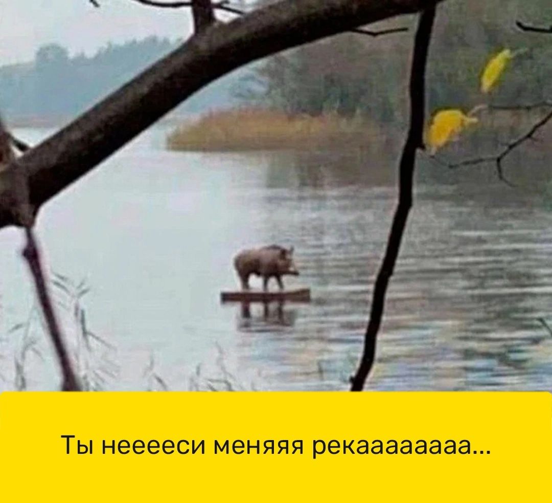 Ты нееееси менйяя рекаааааааа