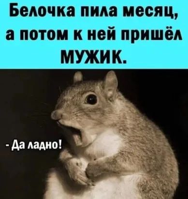 Белочка пила месяц а потом к ней пришёл МУЖИК