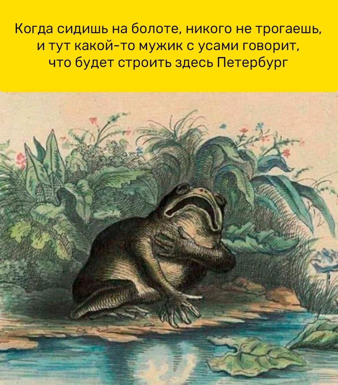 Когда сидишь на болоте никого не трогаешь и тут какой то мужик с усами говорит что будет строить здесь Петербург