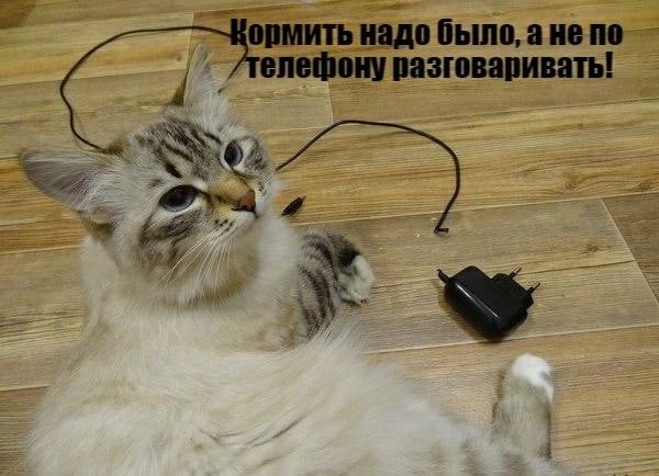 снип шли Баш пом щими пиши 1 ъён