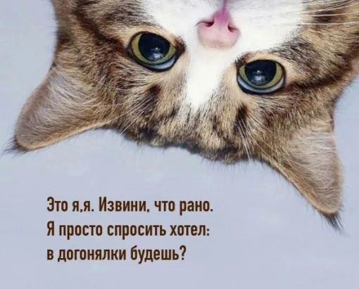 Эш ил Извини что рано я прост спросить хоть в догонялки будешь