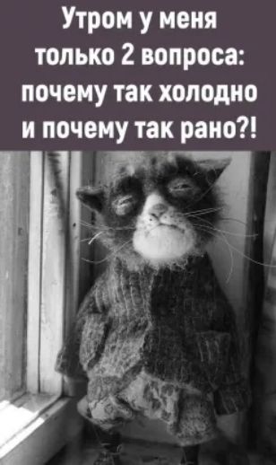 Утром у меня только 2 вопроса почему так холодно и почему так рано