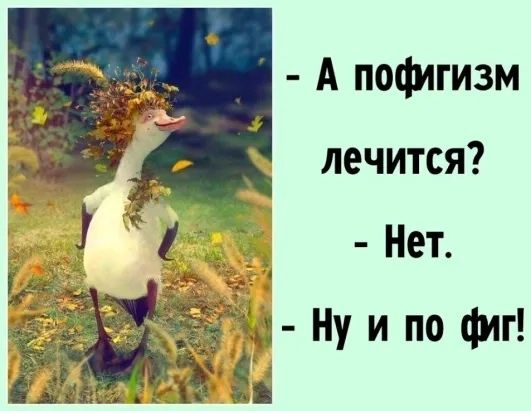 А почигизм лечится Нет