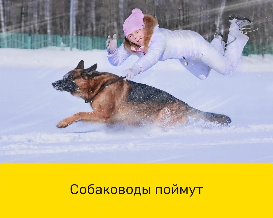 Собаководы поймут