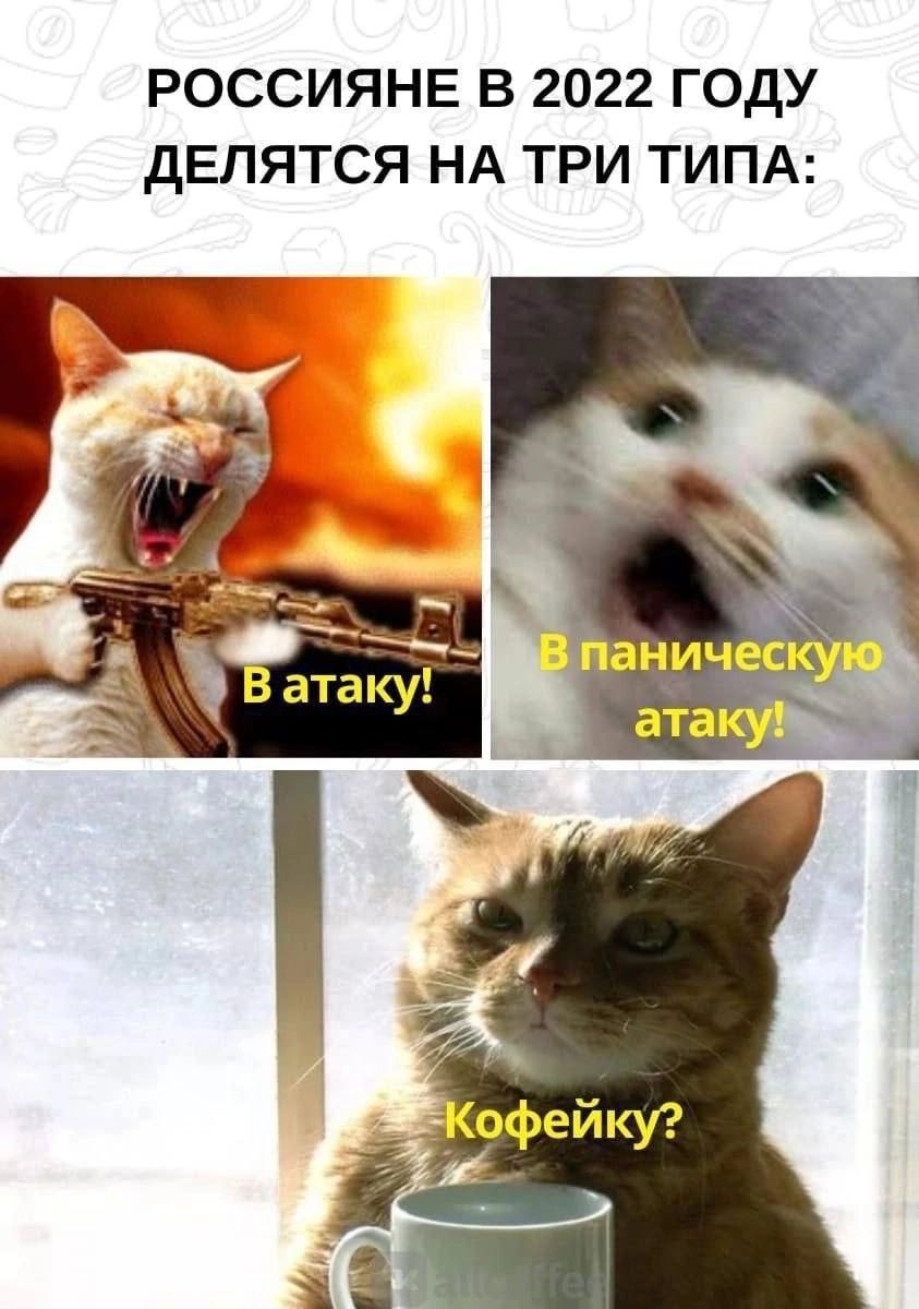 РОССИЯНЕ В 2022 ГОДУ дЕПЯТСЯ НА ТРИ ТИПА