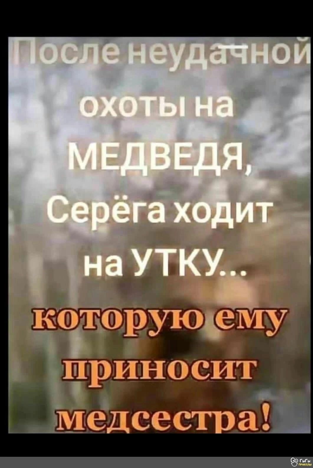 _ Шёдсестра