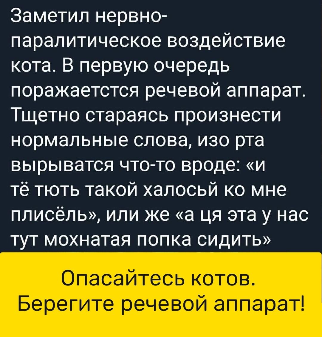 Заметил нервно парапитическое воздействие кота В первую очередь поражаетстся речевой аппарат Тщетно стараясь произнести нормальные слова изо рта вырыватся что то вроде и тё тють такой халосьй ко мне плисёль или же а ця эта у нас тут мохнатая попка сидить