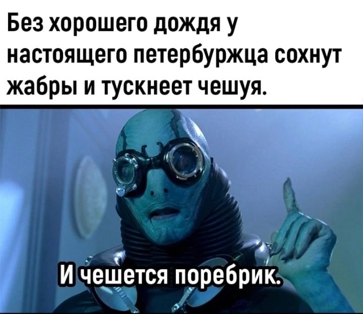 Без хорошего дождя у настоящего петербуржца сохнут жабры и тускнеет чешуя г И чешется поребрик