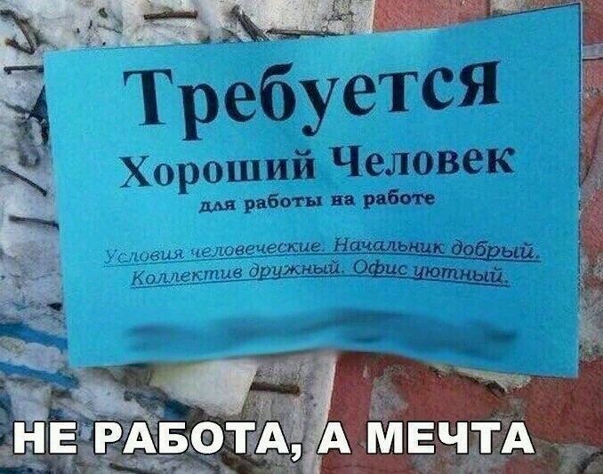 хороший Человек во в 95 даввзіёбтд А МЕЧТА