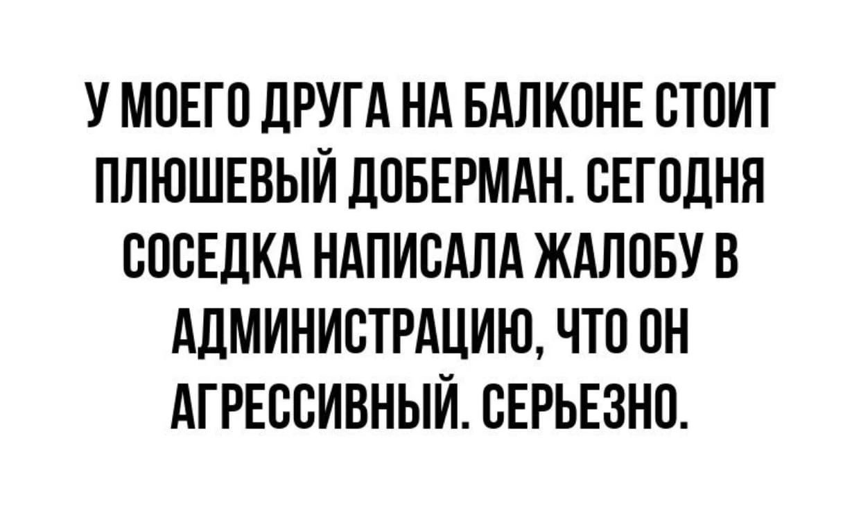 У МОЕГО дРУГА НА БАЛКОНЕ ОТОИТ ПЛЮШЕВЫЙ ЛОБЕРМАН СЕГОДНЯ СОСЕДКА НАПИОАЛА ЖАЛОБУ В АдМИНИСТРАЦИЮ ЧТО ОН АГРЕООИВНЫЙ ОЕРЬЕЗНО