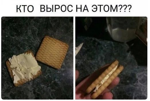 КТО ВЫРОС НА ЭТОМ