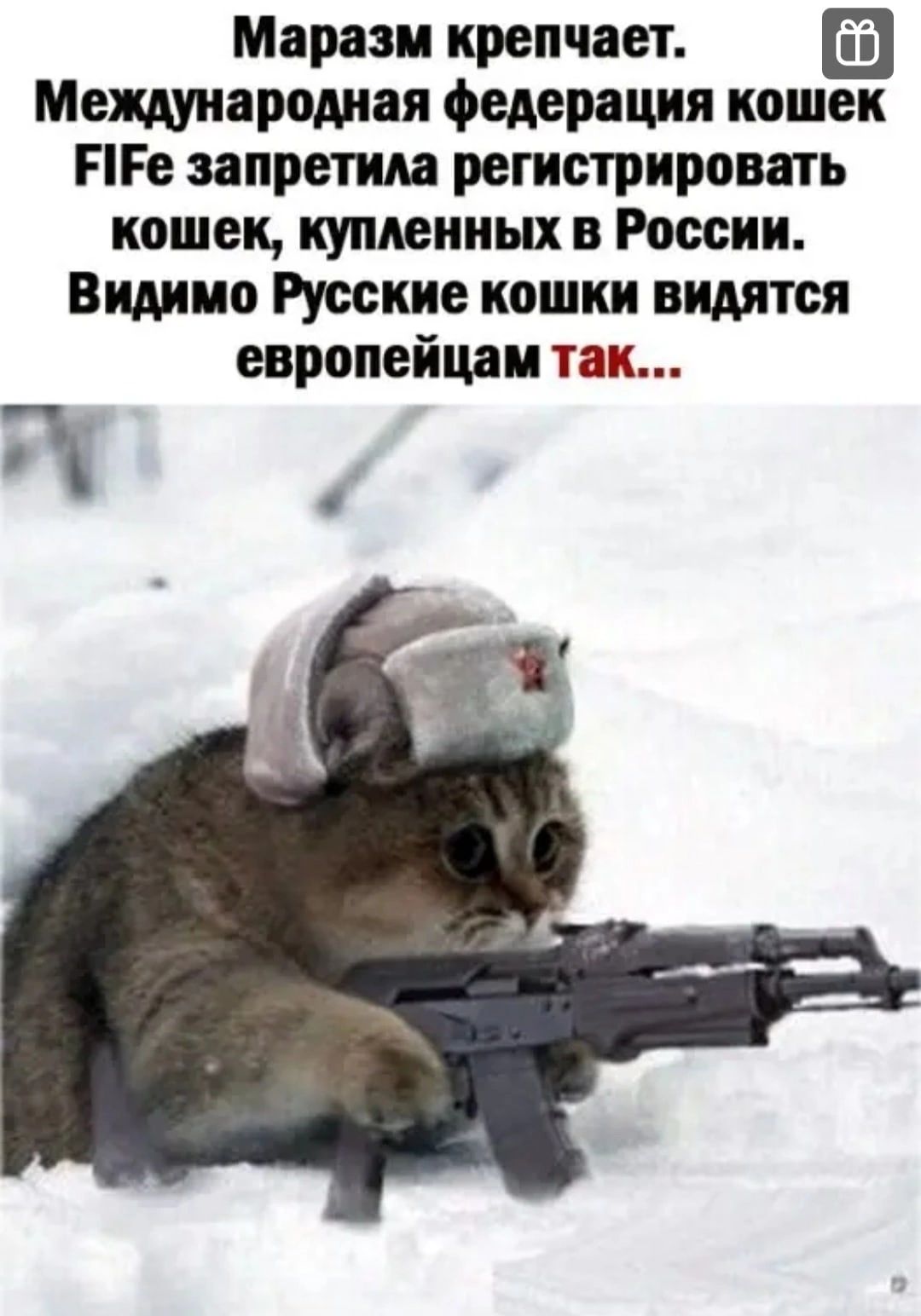 Маразм крепчает Международная федерация кошек ПГе запретила регистрировать кошек купленных в России Видимо Русские кошки видятся европейцам так а
