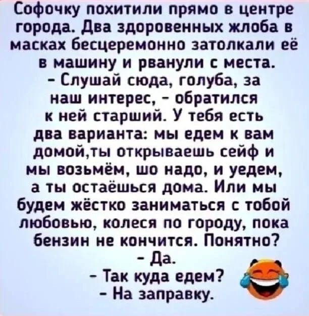 Софочку похитили прямо в центре города дна здоровенных жлоба масках Бесцеремонио затон кали её в машину и рванули места Слушай сюда годуба за наш интерес обратился к ней старший У тебя есть два варианта мы едем к вам домойты открываешь сейф и мы возьмём шо надо и уедем а ты остаешься дома Или мы будем жёстко заниматься с тобой любовью колеся по городу пока бензин не коннятся Понятно а Так куда еде