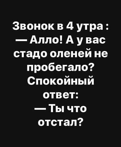 Звонок в 4 утра Алло А у вас стадо оленей не пробегала Спокойный ответ Ты что отстал