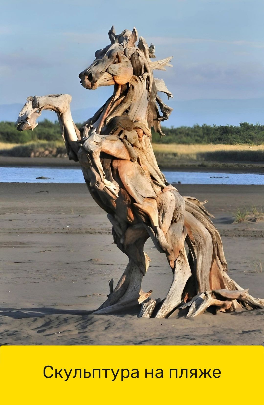 Скульптура на пляже