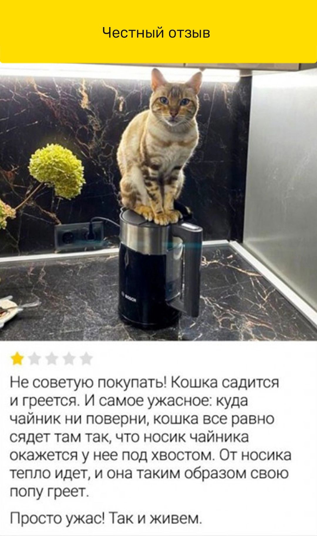 Не советую покупаты Кошка садится и греется И самое ужасное куда чаиник ни поверни кошка все равно сядет там такчто носик чайника окажется у нее под хвостом От носика тепло идет и она таким образом свою попу греет Просто ужас Так и живем