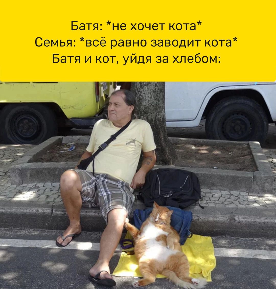 Батя не хочет кота Семья всё равно заводит кота Батя и кот уйдя за хлебом