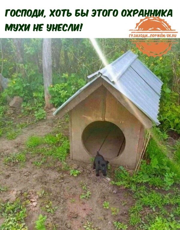 господи ХОТЬ БЫ ЭТОГО ОХРАШМКА мухи НЕ РШФШ чз _