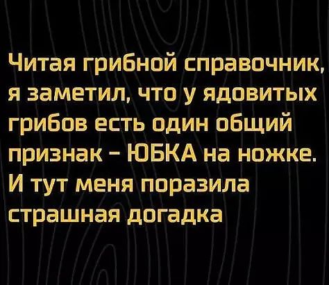 Читая грибной справочник я заметил что у ядовитых грибов есть один общий признак ЮБКА на ножке И тут меня поразила страшная догадка
