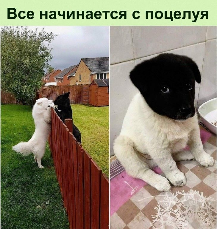 Все начинается С ПОЦЭПУЯ