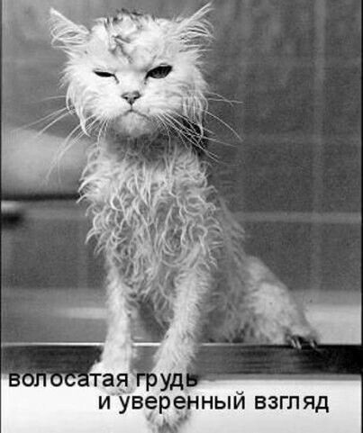 И уверенныи ВЗГляЯд