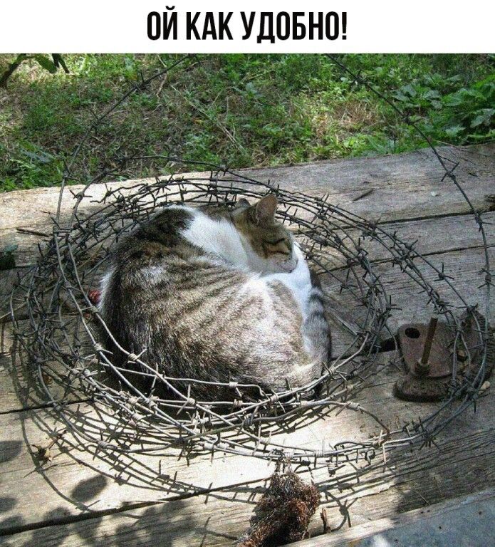 о н Б 0 д У к А к и п