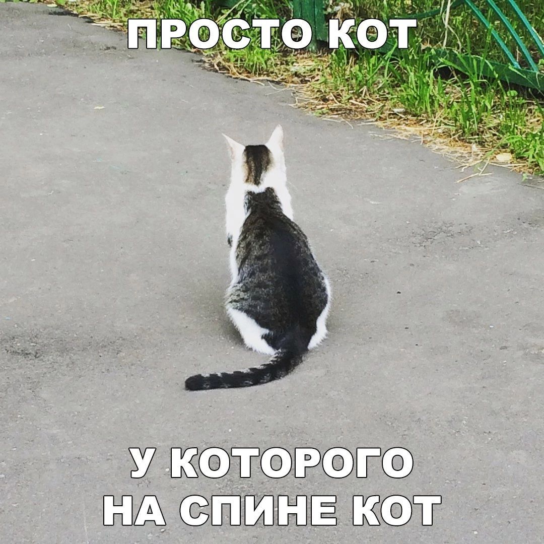 7 ЁР1Ё ПЁЕШЕЁЁ т