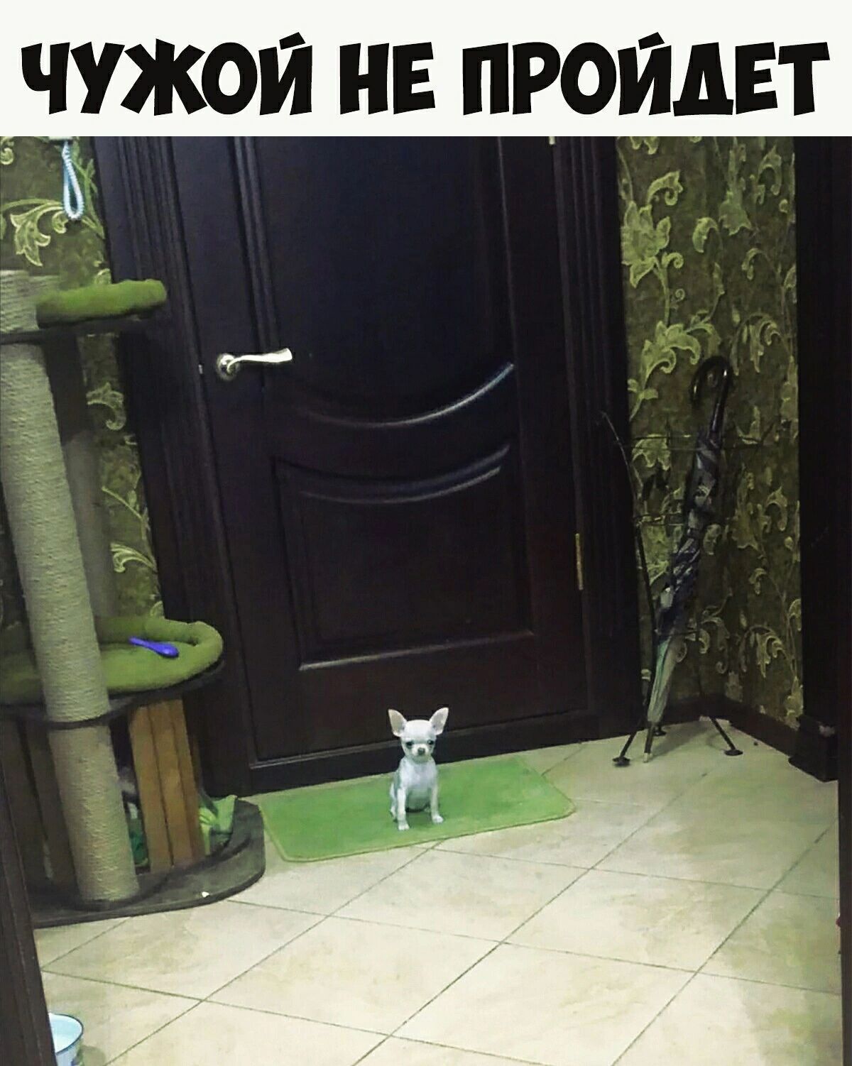 что не проидвт