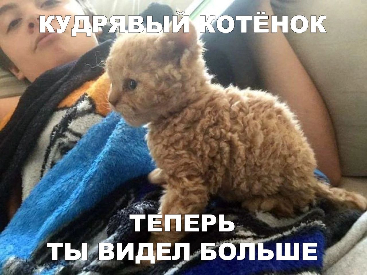 тьіфидчьвбпйіі 51