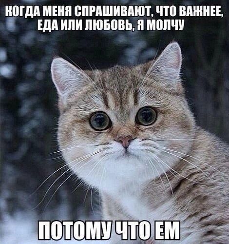 ИШ МЕНЯ ВПРАШИВМЁТ ЧП ВАШИ ШШШ ПЮЮВЬ ШШШ