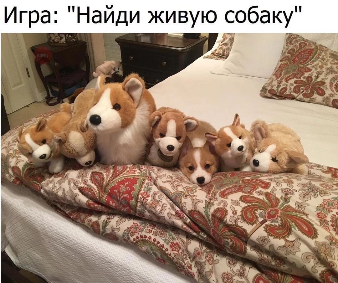 баку О С Ю у В И Ж И д Й Щ Ш 0 г И