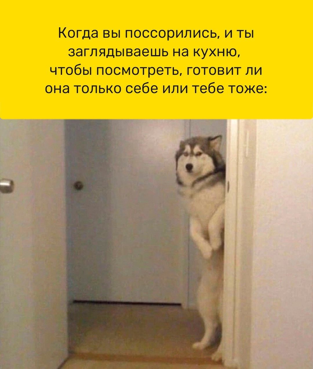 чтобы посмотр