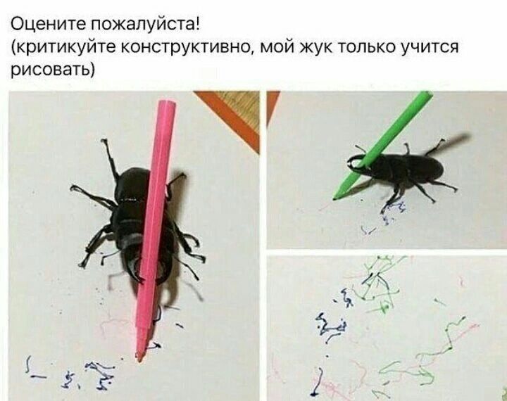 Оцените пожалуйста критикуйте конструктивно мой жук только учится рисоваты